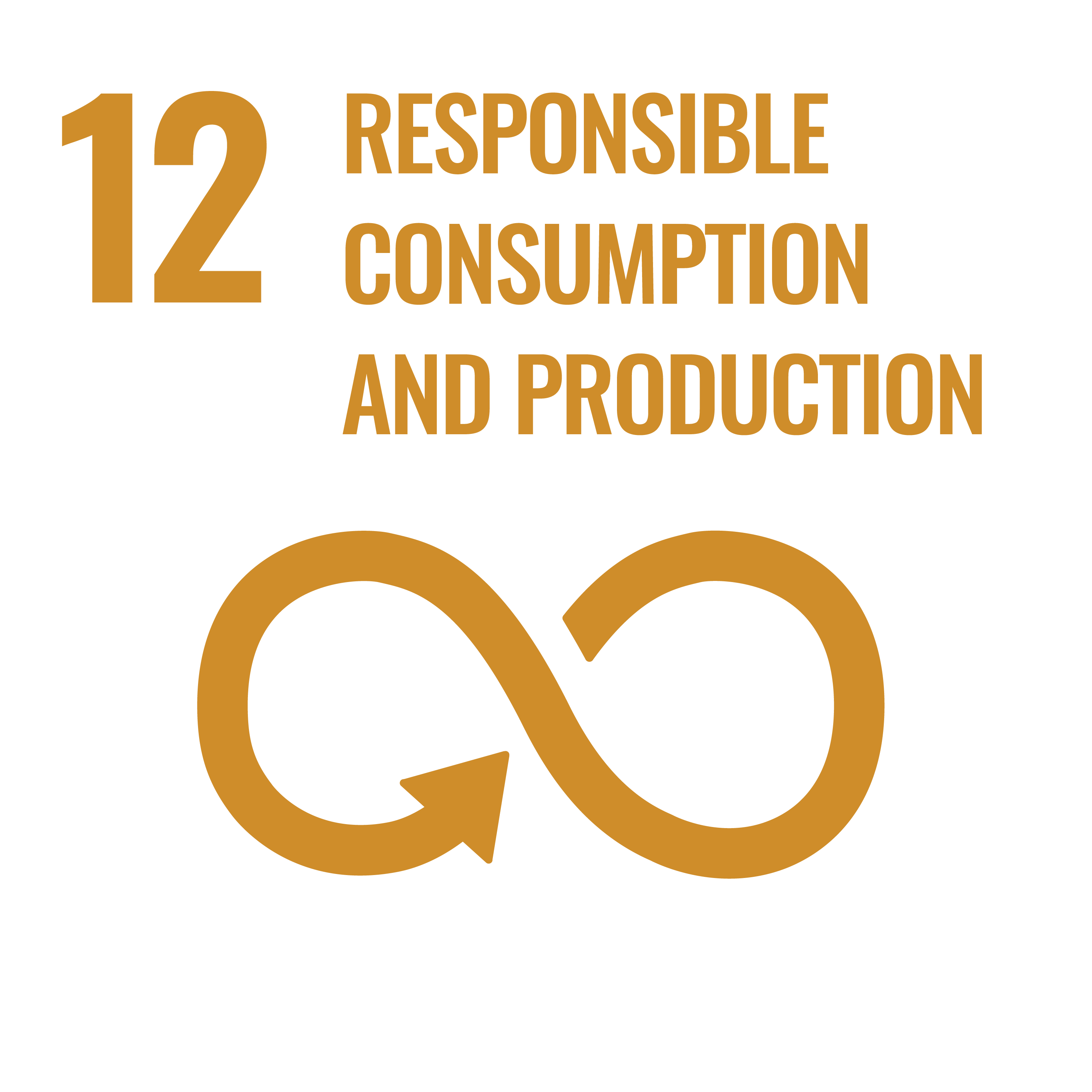 Sustainable development goal 12 - logo