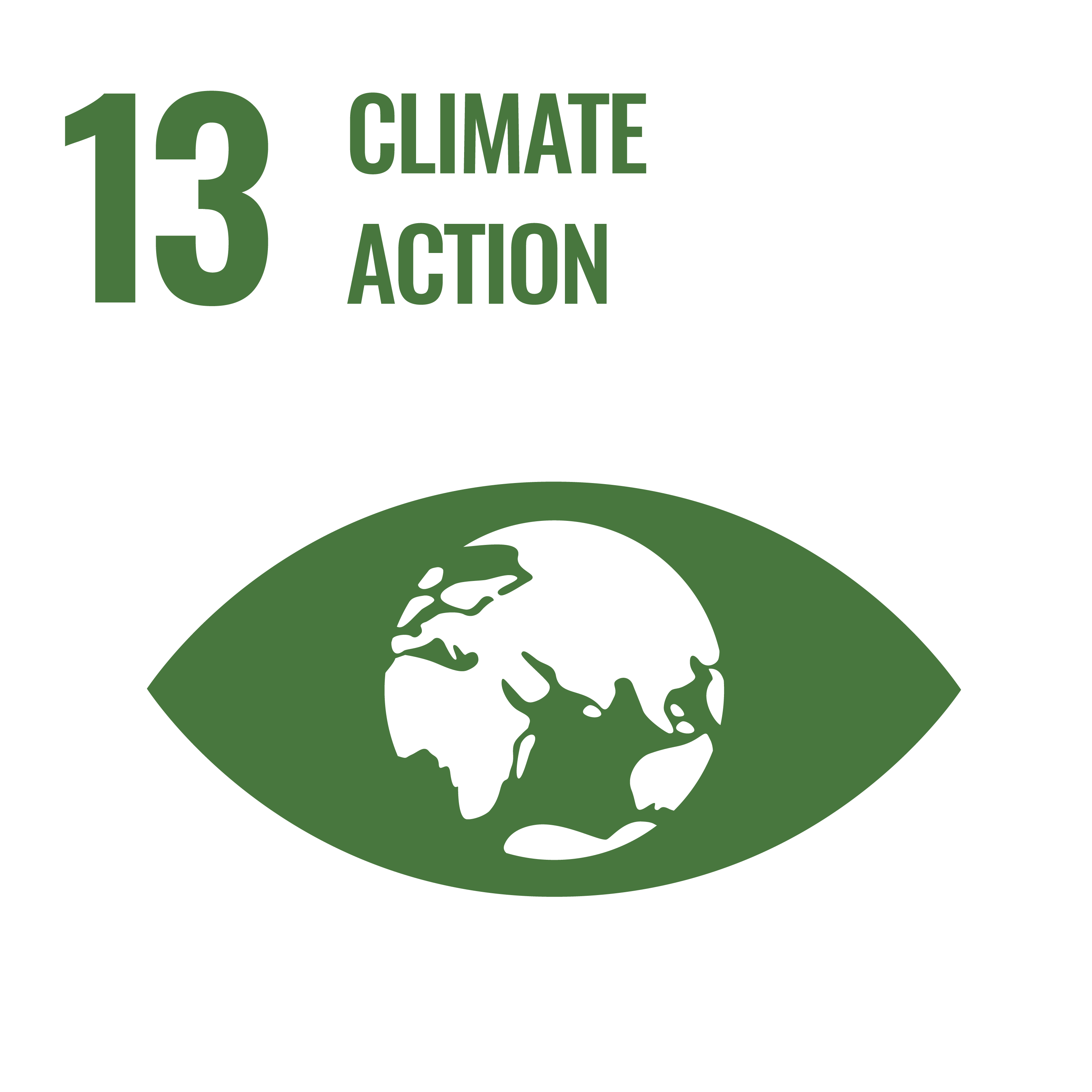 Sustainable development goal 13 - logo