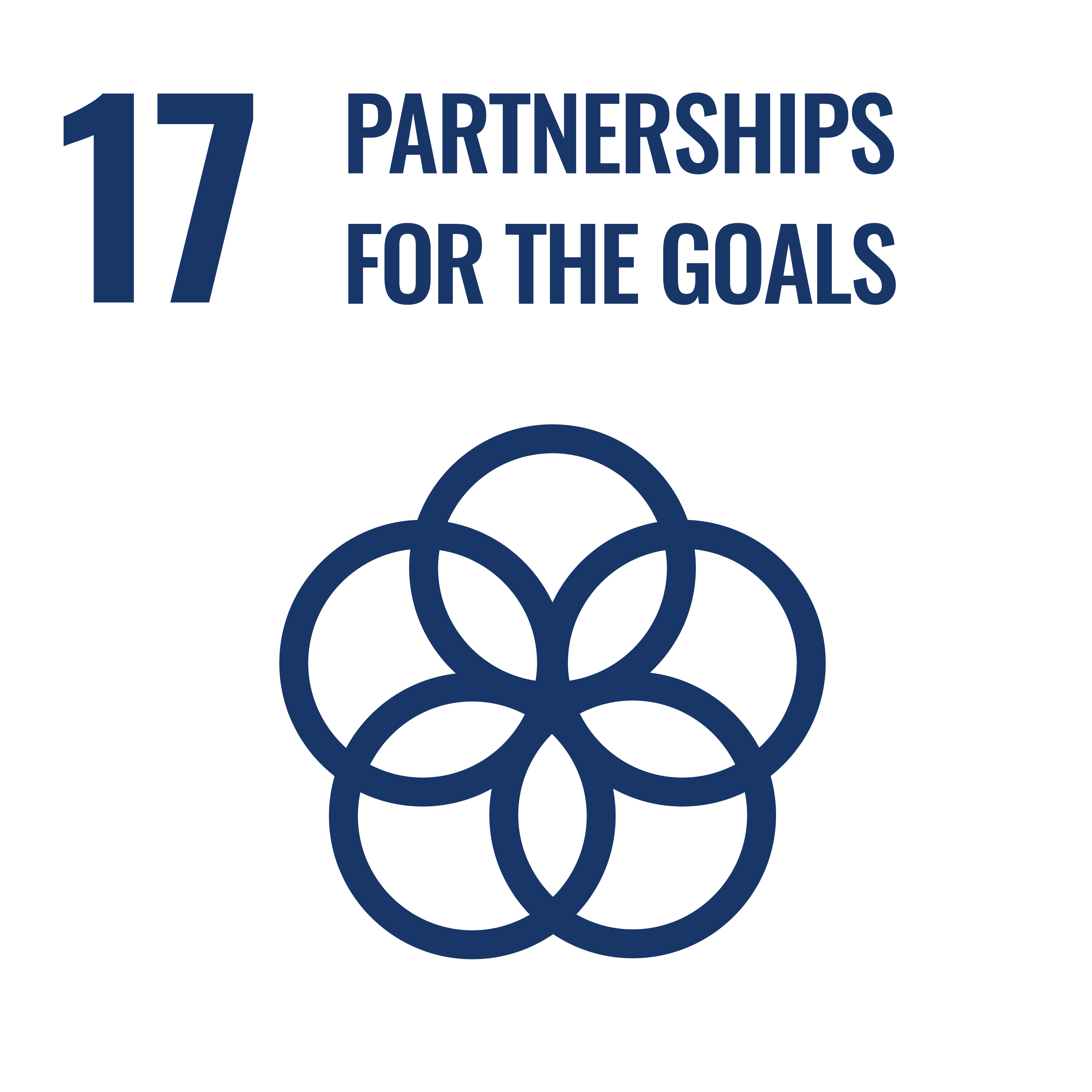 Sustainable development goal 17 - logo